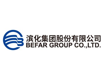 濱化集團股份有限公司